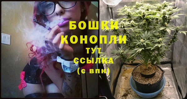 стаф Армянск