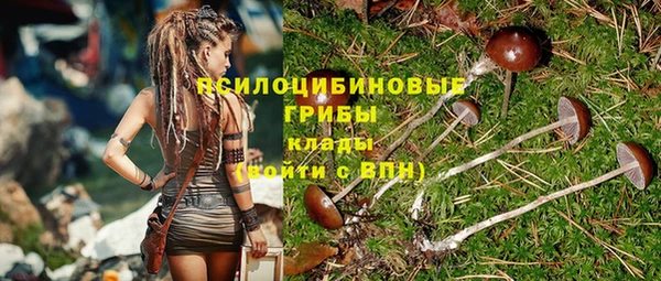стаф Армянск