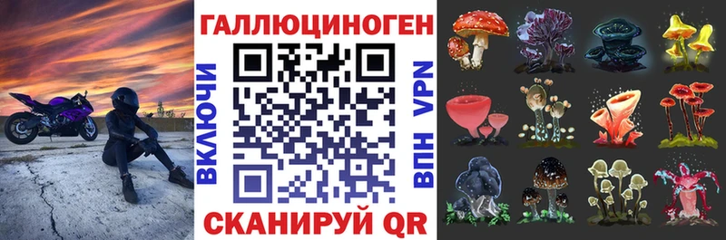дарнет шоп Островной Галлюциногенные грибы GOLDEN TEACHER